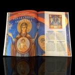 VATICANO - 2017 - Libro annata completa