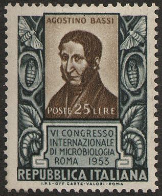 1953 6° congresso di microbiologia 1 v. Italia ITALIA - 1953 - 6° congresso di microbiologia - 1 v.