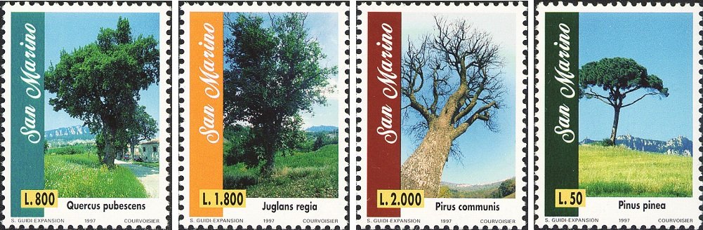 1997 Alberi monumentali 4 v. San Marino SAN MARINO - 1997 - Alberi monumentali- 4 v.