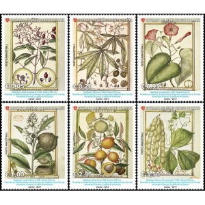 S.M.O.M. - 2017 - Natura e arte: Florindie ou Histoire physico-economique des vegetaux de la Torride - 6 v.