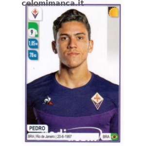 142 - Pedro
