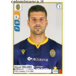 190 - Miguel Veloso