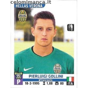 243 - Pierluigi Gollini
