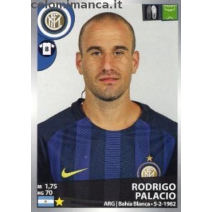 249 - Rodrigo Palacio