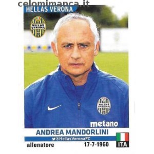 264 - Andrea Mandorlini