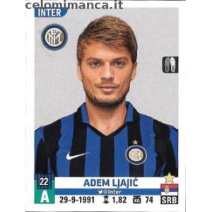 289 - Adem Ljajić