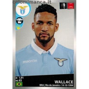 290 - Wallace