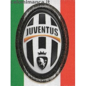 294 - Scudetto Juventus