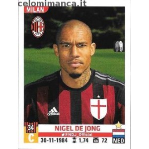 370 - Nigel de Jong