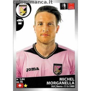 379 - Michel Morganella