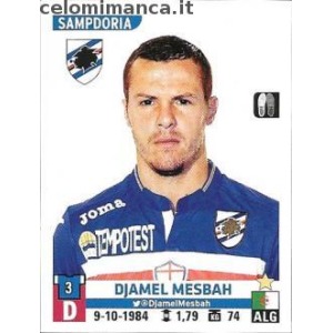 482 - Djamel Mesbah