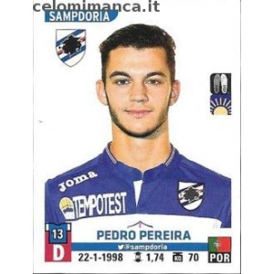 483 - Pedro Pereira