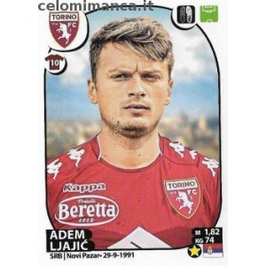 529 - Adem Ljajić