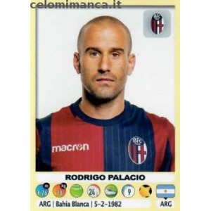 53 - Rodrigo Palacio