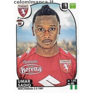 531 - Umar Sadiq