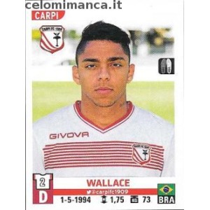 77 - Wallace