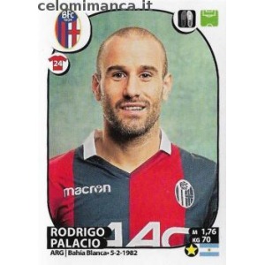 82 - Rodrigo Palacio