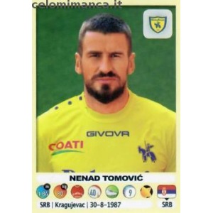 95 - Nenad Tomović
