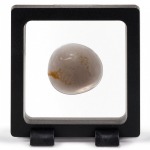 LEUCHTTURM - Cornice espositiva MAGIC FRAME 70
