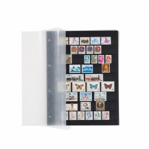 LEUCHTTURM - Fogli classificatori neri GRANDE con 9 listelli in acrilico per lato formato A4 - 5 pz.