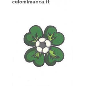 T11 - Tatuaggio: Pallone con quadrifoglio