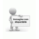 ITALIA - 2001 - VARIETÀ Francobusta in seta con la parola seta sul retro - 1 FB