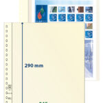 LINDNER - Foglio singolo T-BLANKO a 1 tasca 802106 - 1 pz.