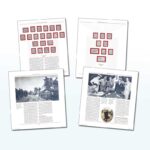 BOLAFFI - DOMINUS Repubblica Sociale Italiana