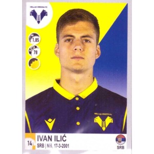 230 - Ivan Ilić