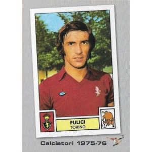 P19 - Pulici