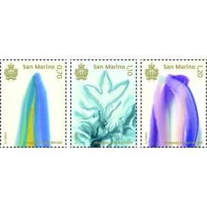 SAN MARINO - 2021 - Bicentenario dell'Omeopatia in Italia - 3 v.