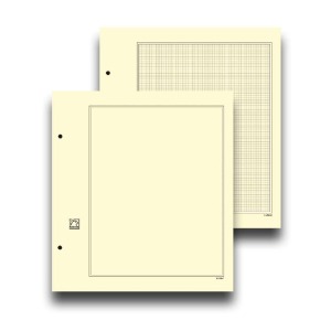 MASTER PHIL - Fogli AIRONE PREMIER paglierino quadrettati - 10 pz.
