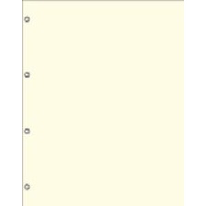 LINDNER - Fogli BLANKO perforati color crema senza stampe - 10 pz.