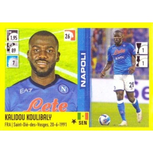 299 - Kalidou Koulibaly
