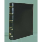 MARINI - Cartella a 4 anelli ALFA 260 GOLD con custodia - Verde - immagine 3