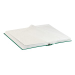 LINDNER - Classificatore STANDARD A4 a 32 fogli bianchi - Verde - immagine 3