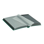 LINDNER - Classificatore STANDARD A4 a 32 fogli neri - Verde - immagine 3