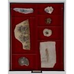 LINDNER - BOX PER COLLEZIONISTI FUMÉ a 2 scomparti rettangolari da 105x280 mm con 10 divisori mobili - Bordeaux