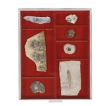 LINDNER - BOX PER COLLEZIONISTI STANDARD a 2 scomparti rettangolari da 105x280 mm con 10 divisori mobili - Rosso