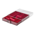 LINDNER - BOX PER COLLEZIONISTI FUMÉ a 3 scomparti rettangolari da 65x280 mm con 10 divisori mobili - Bordeaux - immagine 4
