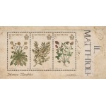 2023-Botanica-Mirabilis-1-BF-San-Marino-1