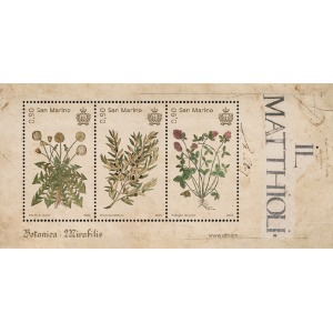 2023-Botanica-Mirabilis-1-BF-San-Marino-1