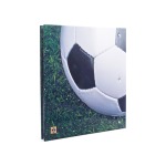 Cartella a 4 anelli FRANZ PRO SOCCER TRADING CARD ALBUM vuota Leuchtturm 2