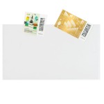 Tasche per APPROVAL CARDS neri piccoli in PVC 100 pz. Lindner 2