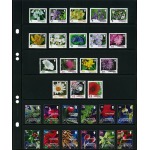 Fogli neri Multi Collect a 6 strisce 10 pz. Lindner 3