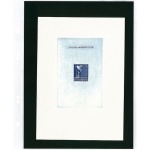 Fogli trasparenti Multi Collect ad 1 tasca per banconote con separatore di tasca 10 pz. Lindner 3
