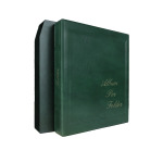 Cartella a 4 anelli FOLDER A4 VERTICALE con custodia vuota Verde Master Phil 2