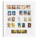 Fogli EXPO a 5 listelli Master Phil 2