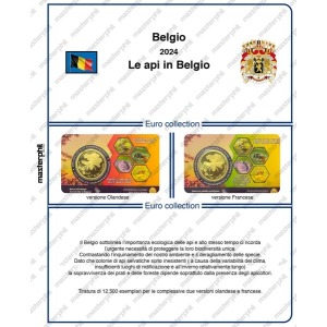 Inserto 2 5 Euro commemorativo Belgio Le api in Belgio in coin card 2024 Master Phil