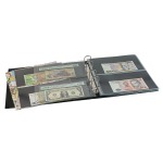 Cartella a 4 anelli MULTI BIG PER BANCONOTE con fogli senza custodia Lindner 2